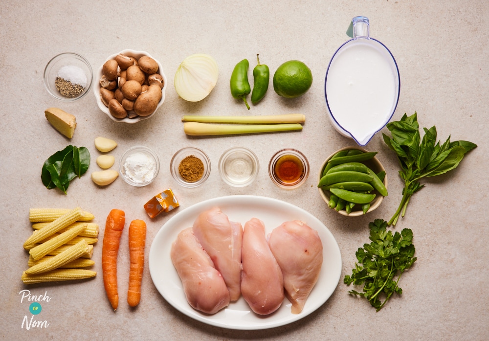Ingredients for Pinch of Nom Thai-Style Green Curry laid out on counter.