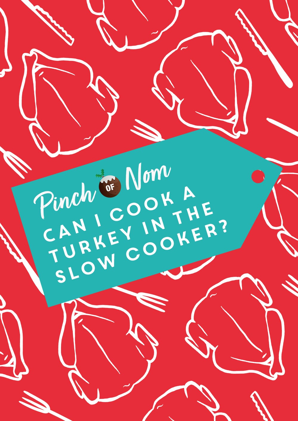 Can I Cook a Turkey in the Slow Cooker? | Pinch of Nom Slimming Recipes