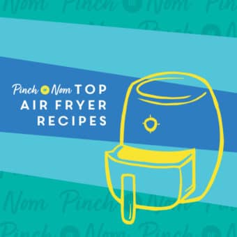 Top Air Fryer Recipes pinchofnom.com
