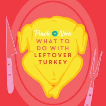 What to do with Leftover Turkey pinchofnom.com