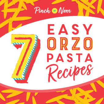 7 Easy and Delicious Orzo Pasta Recipes You Need to Try pinchofnom.com