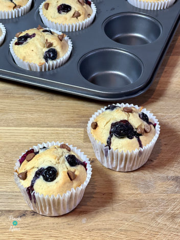 Banana and Blueberry Muffins pinchofnom.com