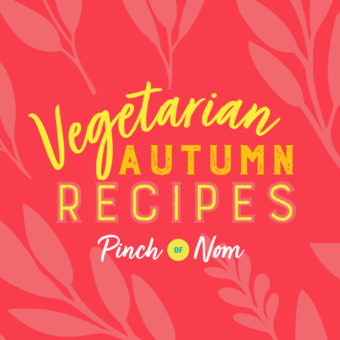 Comforting Vegetarian Recipe Ideas You'll Want to Make for Autumn and Beyond pinchofnom.com
