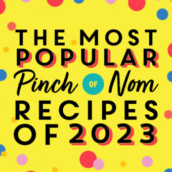 The Most Popular Pinch of Nom Recipes of 2023 pinchofnom.com