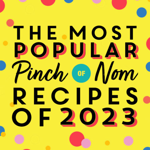 https://pinchofnom.com/wp-content/uploads/2023/12/The-Most-Popular-Pinch-of-Nom-Recipes-of-2023-FEATURED-SQUARE-480x480.jpg