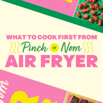 What to Cook First From Pinch of Nom: Air Fryer pinchofnom.com