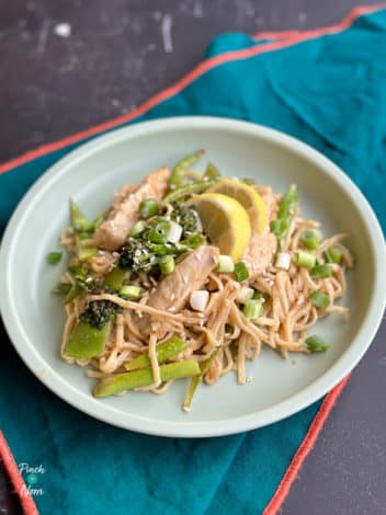 Air Fryer Chicken and Lemon Noodles pinchofnom.com