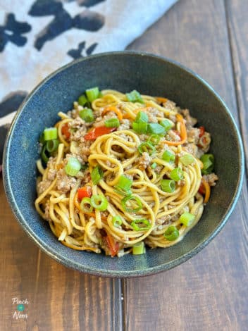 Air Fryer Hoisin Pork with Noodles pinchofnom.com
