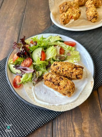 Air Fryer Moroccan-Style Tofu Kebabs pinchofnom.com